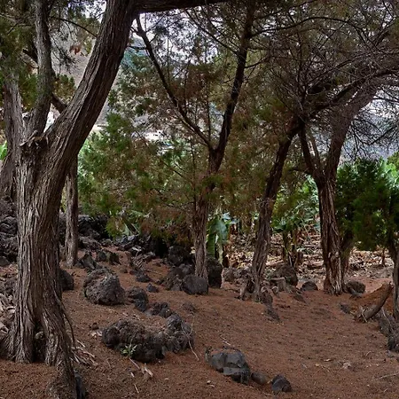 Sabinas Playa - El Guincho, Garachico (Tenerife)