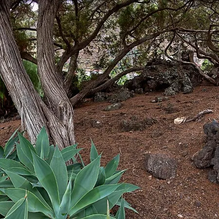 Sabinas Playa - El Guincho, Vakantiehuis Garachico (Tenerife)